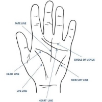Palmistry Course